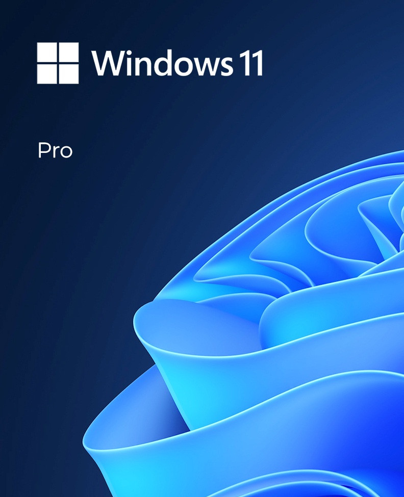 Microsoft Windows 11 Pro Professional 64bit USB Flash Drive