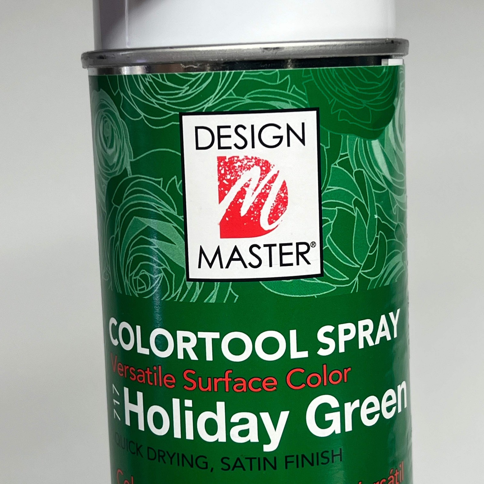 DESIGN MASTER (2 PACK) Colortool Spray Surface Color 12oz Holiday Green 717