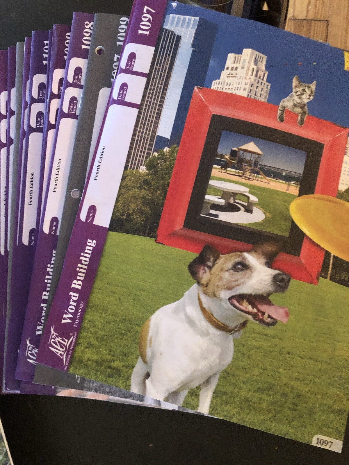 homeschool curriculum