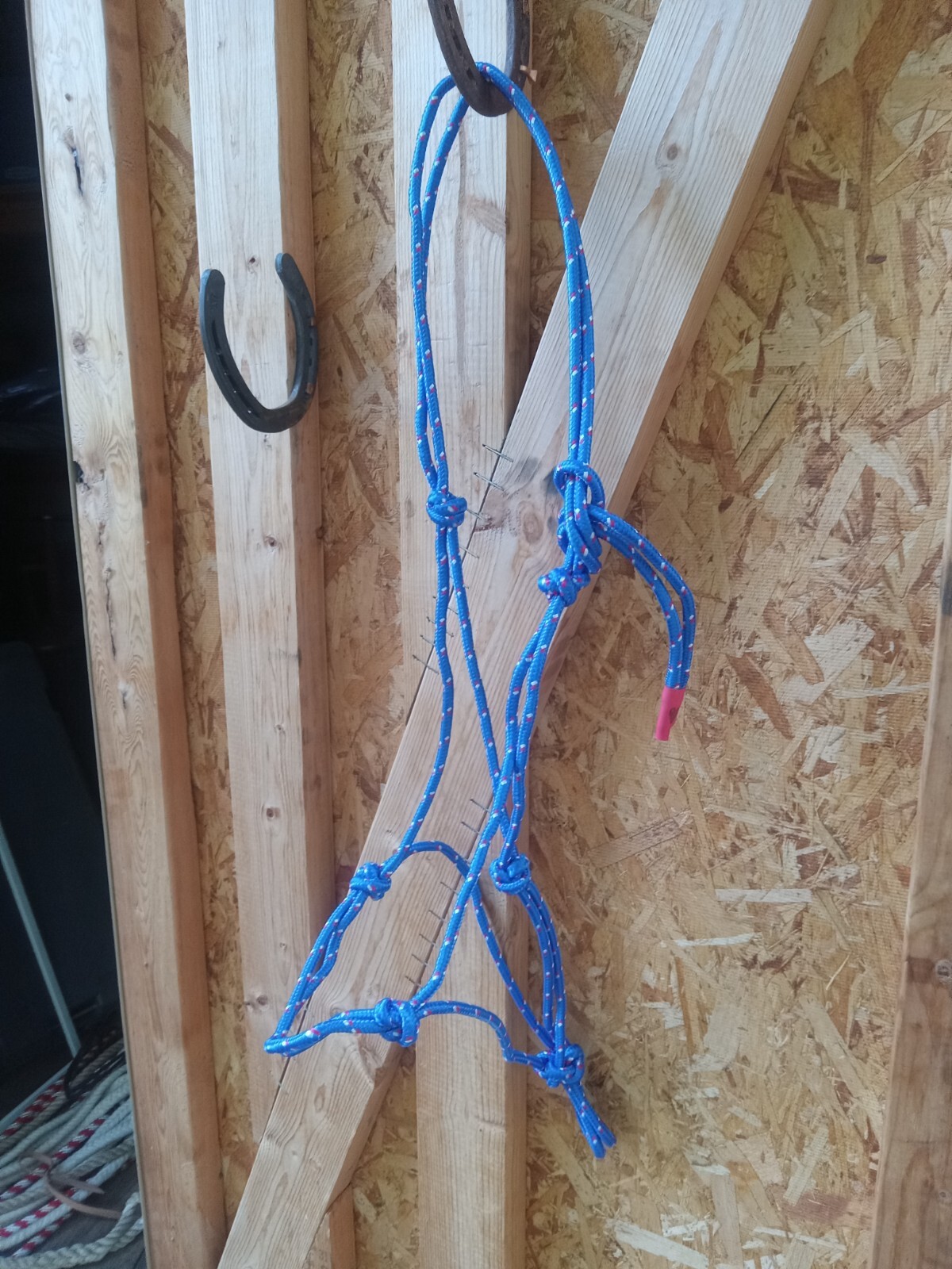 5/16 hand tied nylon rope halter  by Broken Heart Halters