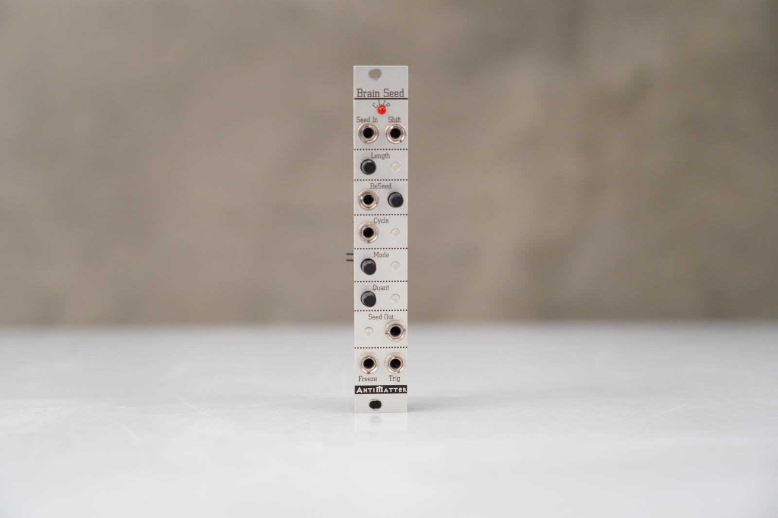 Antimatter Brain Seed Eurorack Module #58470