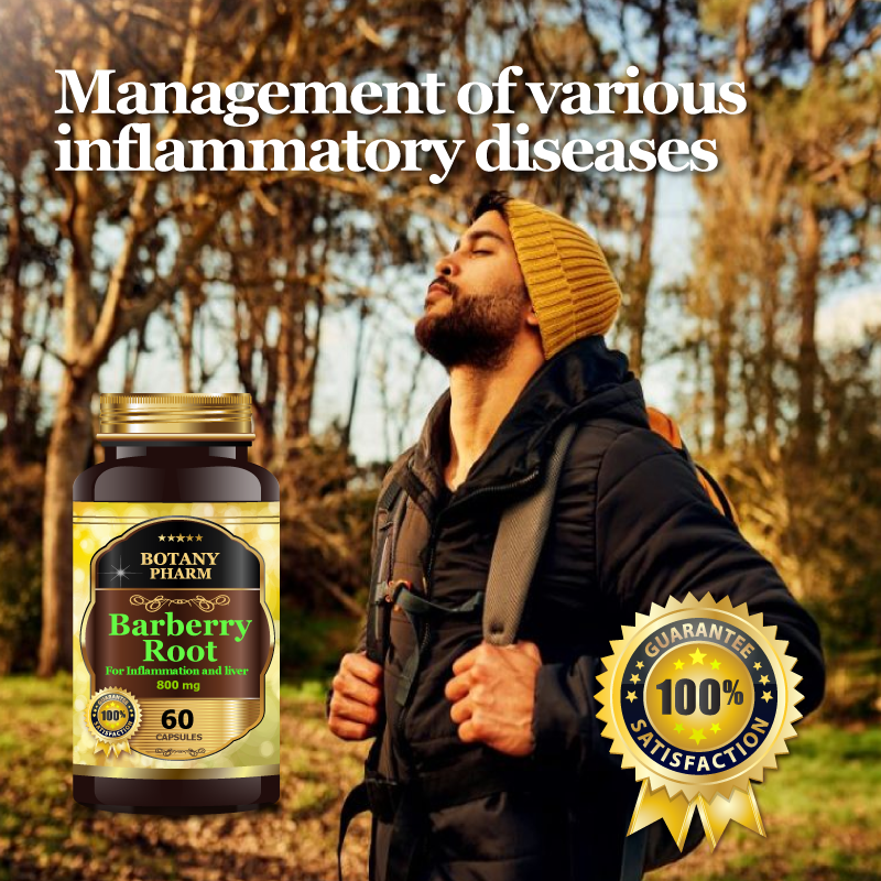 Barberry Root Bark For Cleanse & Detox, Cardiovascular. Anti-inflammatory