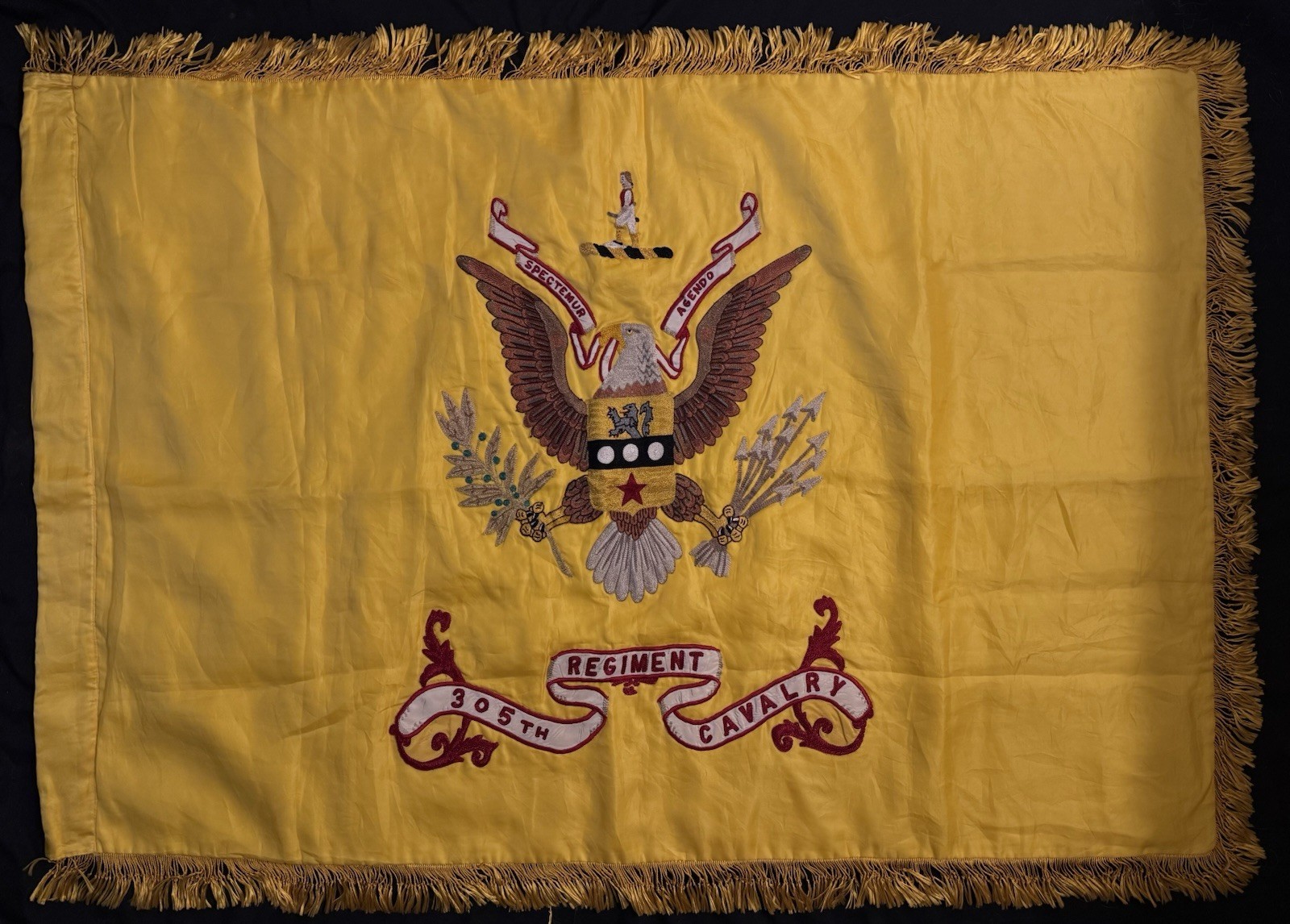 Original RARE U.S. WWI 305th Cavalry Regimental • Organized Reserves Penn