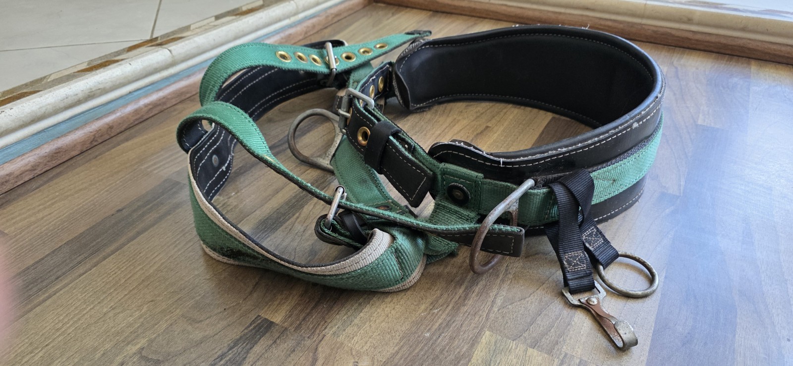 Buckingham Harness