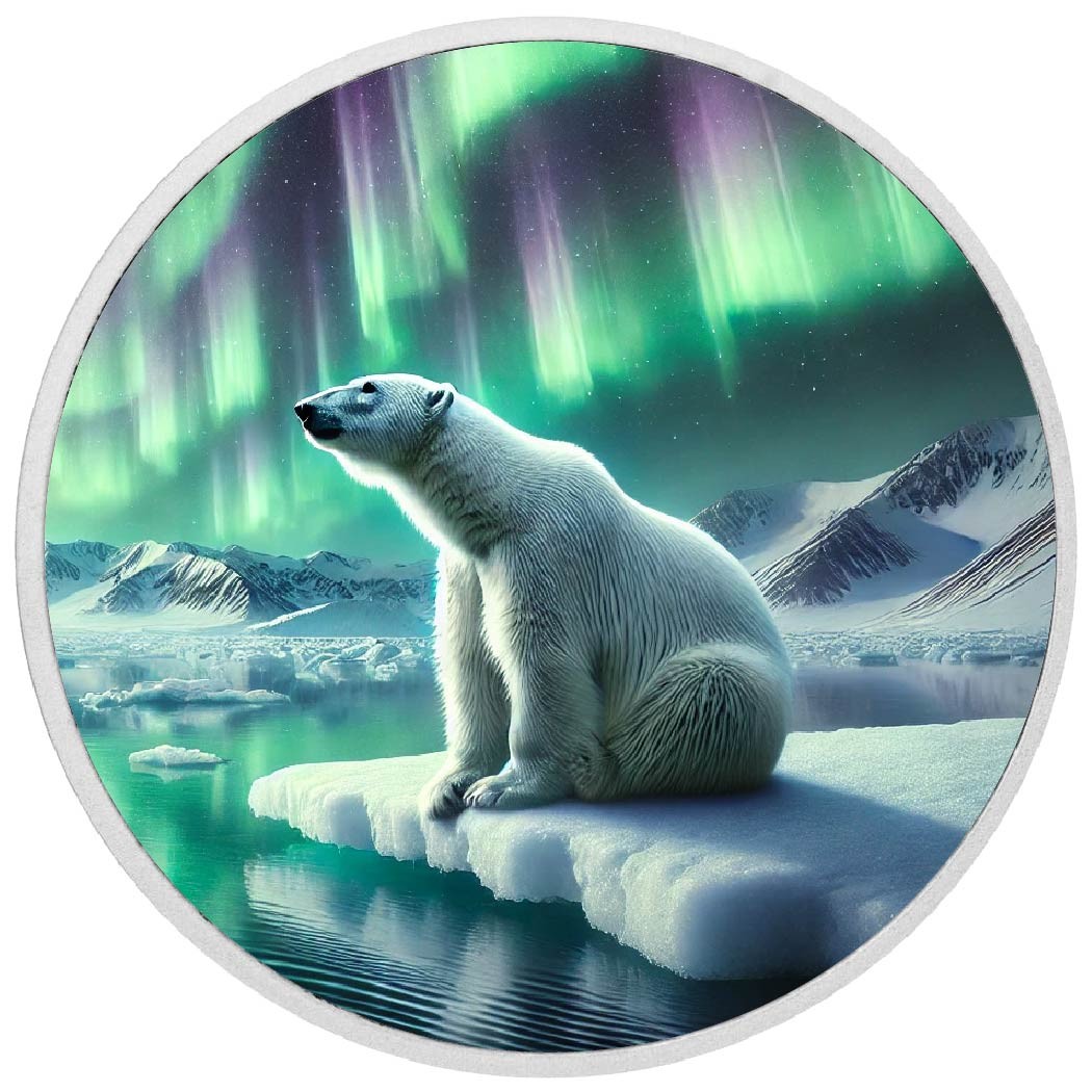 2026 Australia 1oz 9999 Silver BU Guardian of the Arctic Glow Colouriized