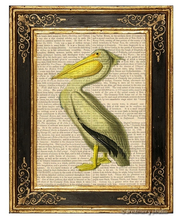 American White Pelican Art Print on Vintage Book Page Birds of America