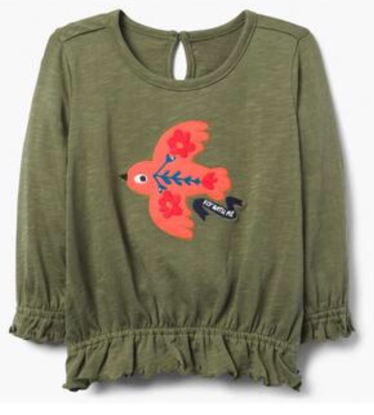 Gymboree Hello Fall Fly With Me Gird Long Sleeve Top Size 2 2T NWT
