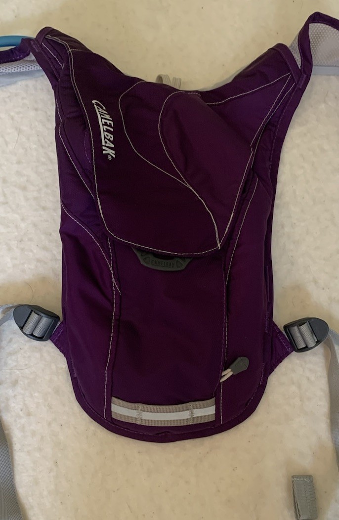Camelback Charm Hydration Pack Purple