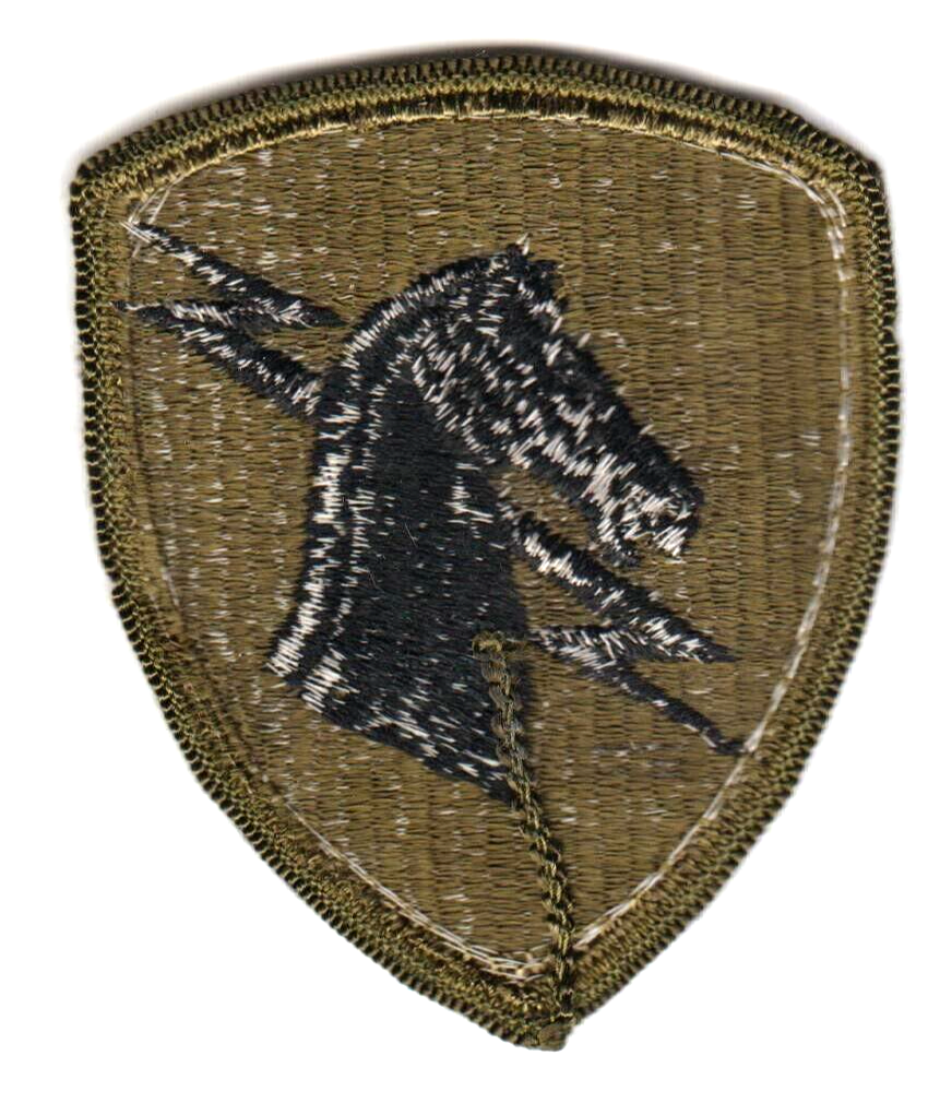 US ARMY 1st SPECIAL OPERATIONS COMMAND Olive/Drab Patch