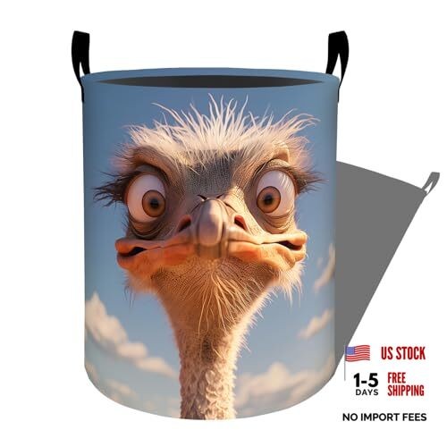 Funny Ostrich Laundry Basket, Dorm Nursery Foldable Laundry Hamper Ostrich36