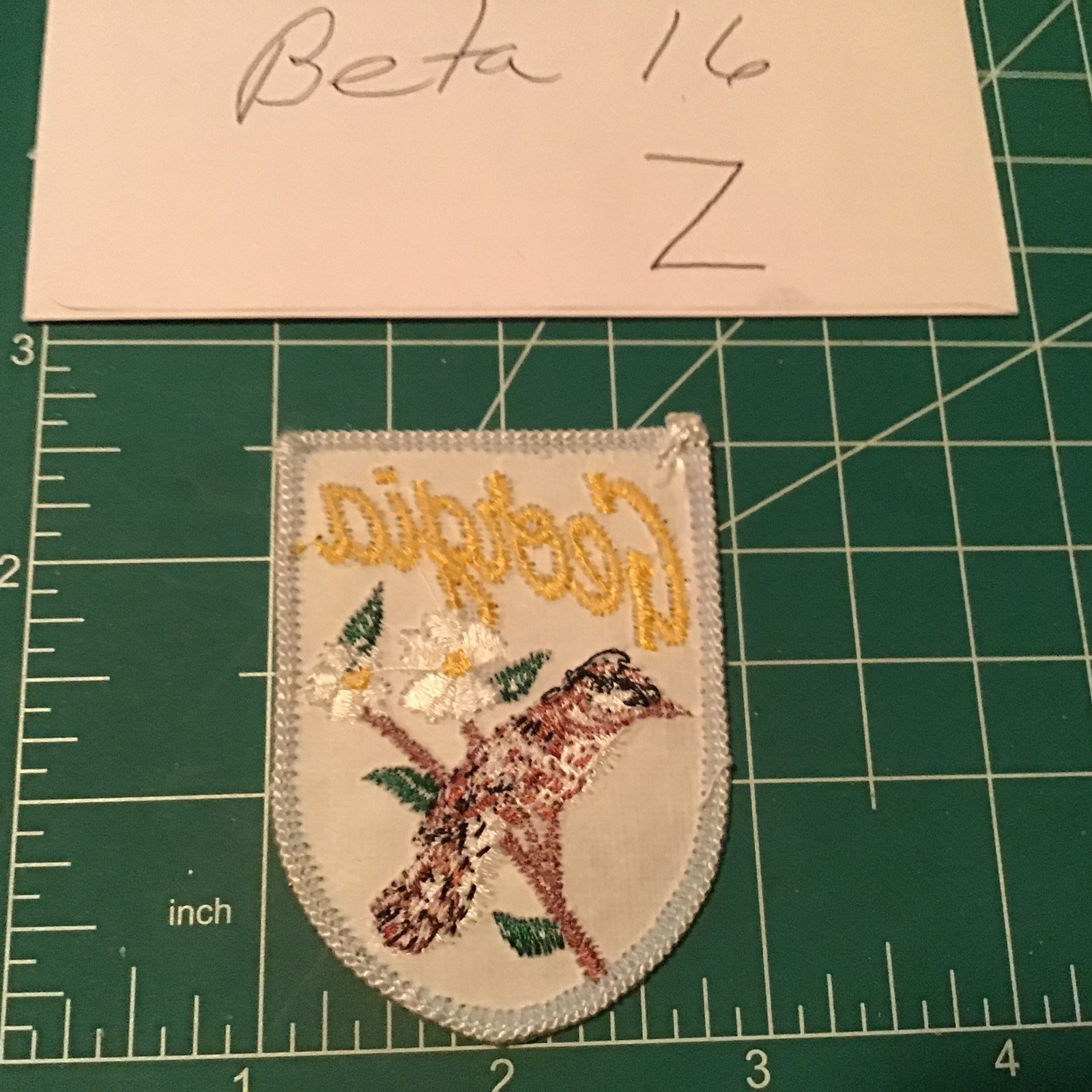 VTG Voyager GEORGIA “Brown Thrasher” Iron On Patch