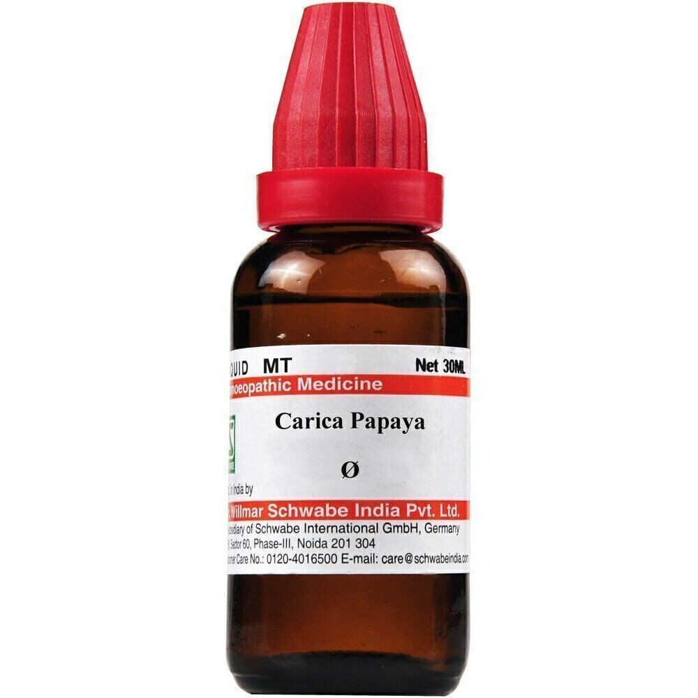 Willmar Schwabe Homeopathy Carica Papaya Mother Tincture Q (30 ML) Free Shipping