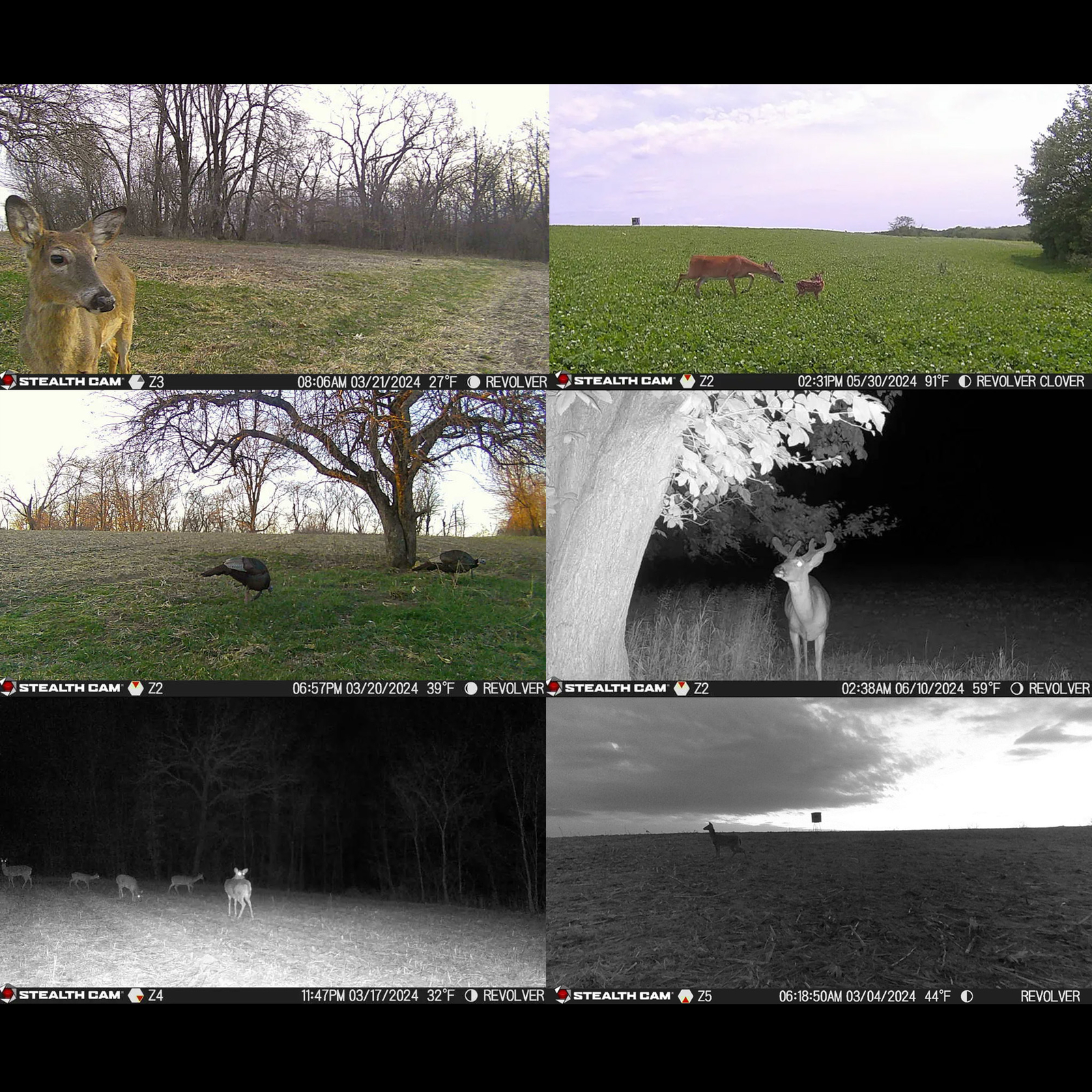 Stealth Cam Revolver 40MP Pro 360 Degree Cellular Trail Camera Bundle