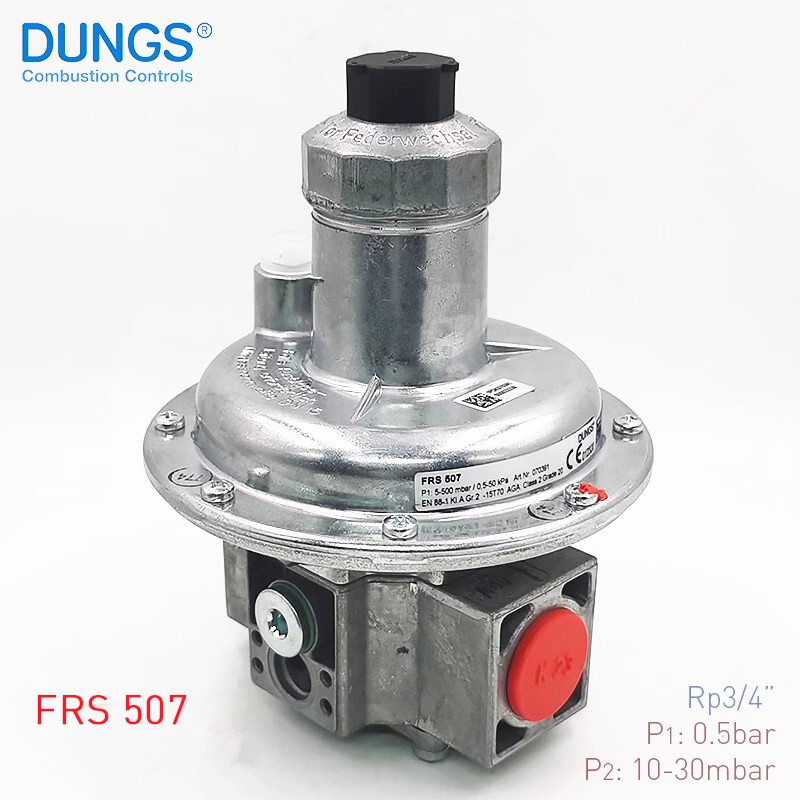 1pcs New DUNGS FRS507 DN20 Rp3/4 Gas Pressure Reducing Valve