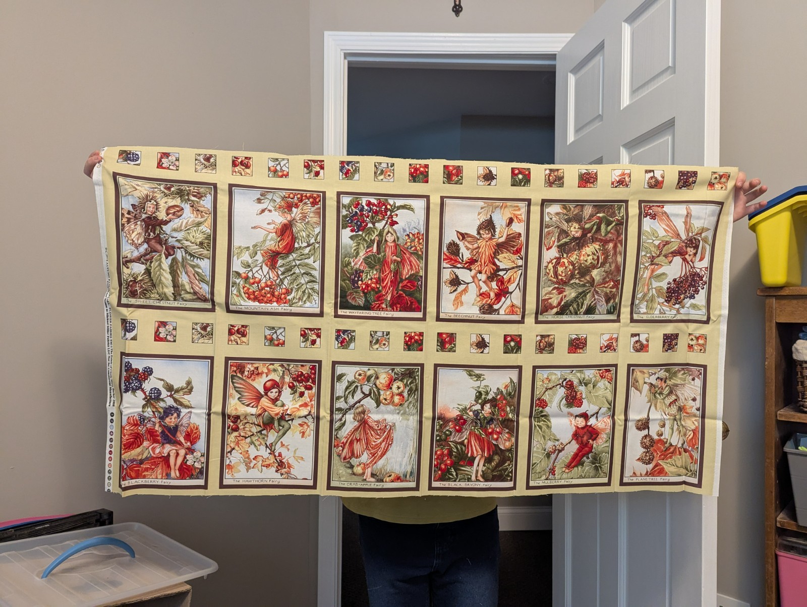 DC3975 Autumn Fairies fabric panel plus one coordinating fat quarter