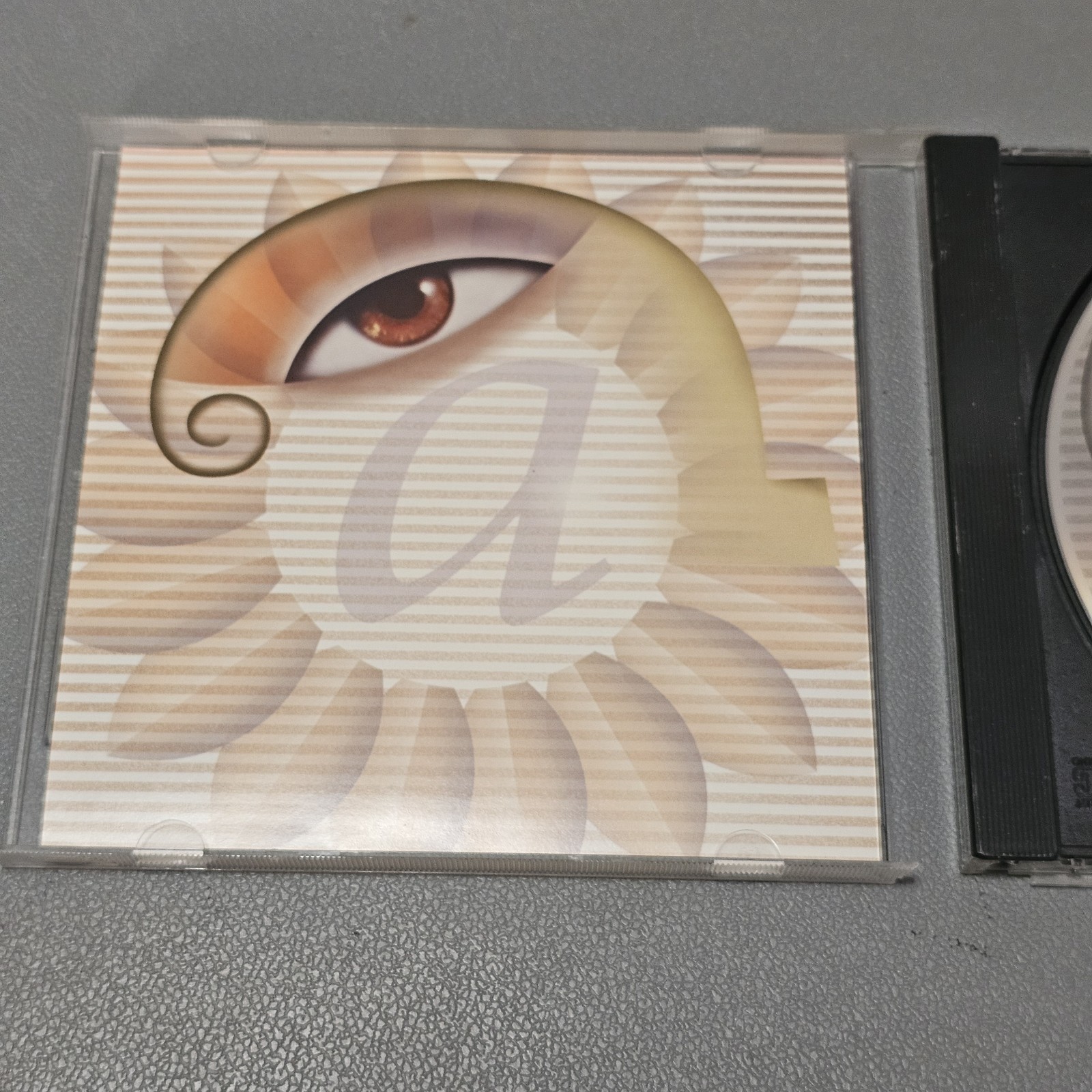 Adobe Photoshop 6.0 Software UPGRADE for Macintosh - Software ONLY no KEY