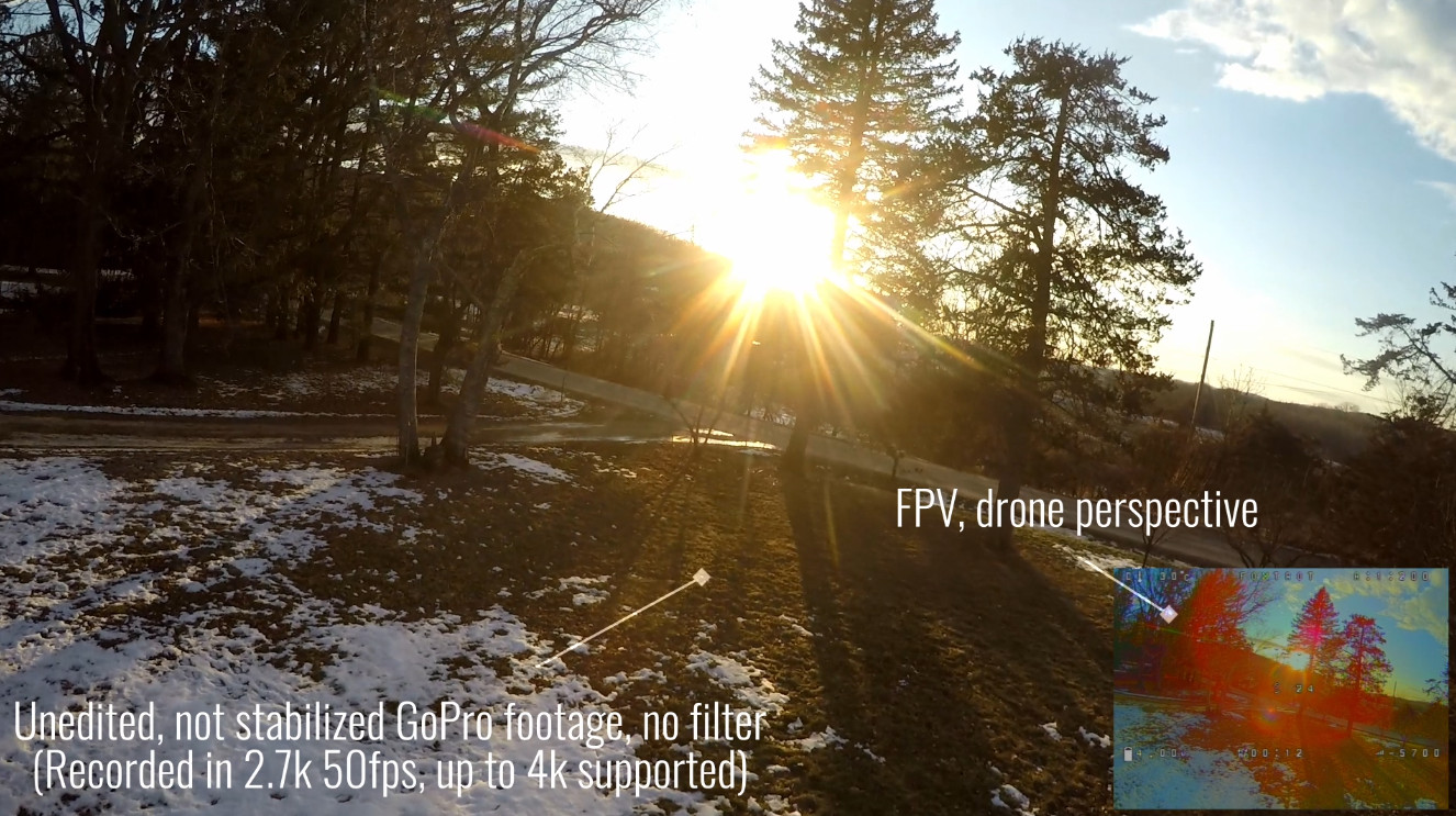 Custom-Built and Tuned 5" LBD 3-6S FPV Drone, 4k GoPro, Analog VTX, ELRS.