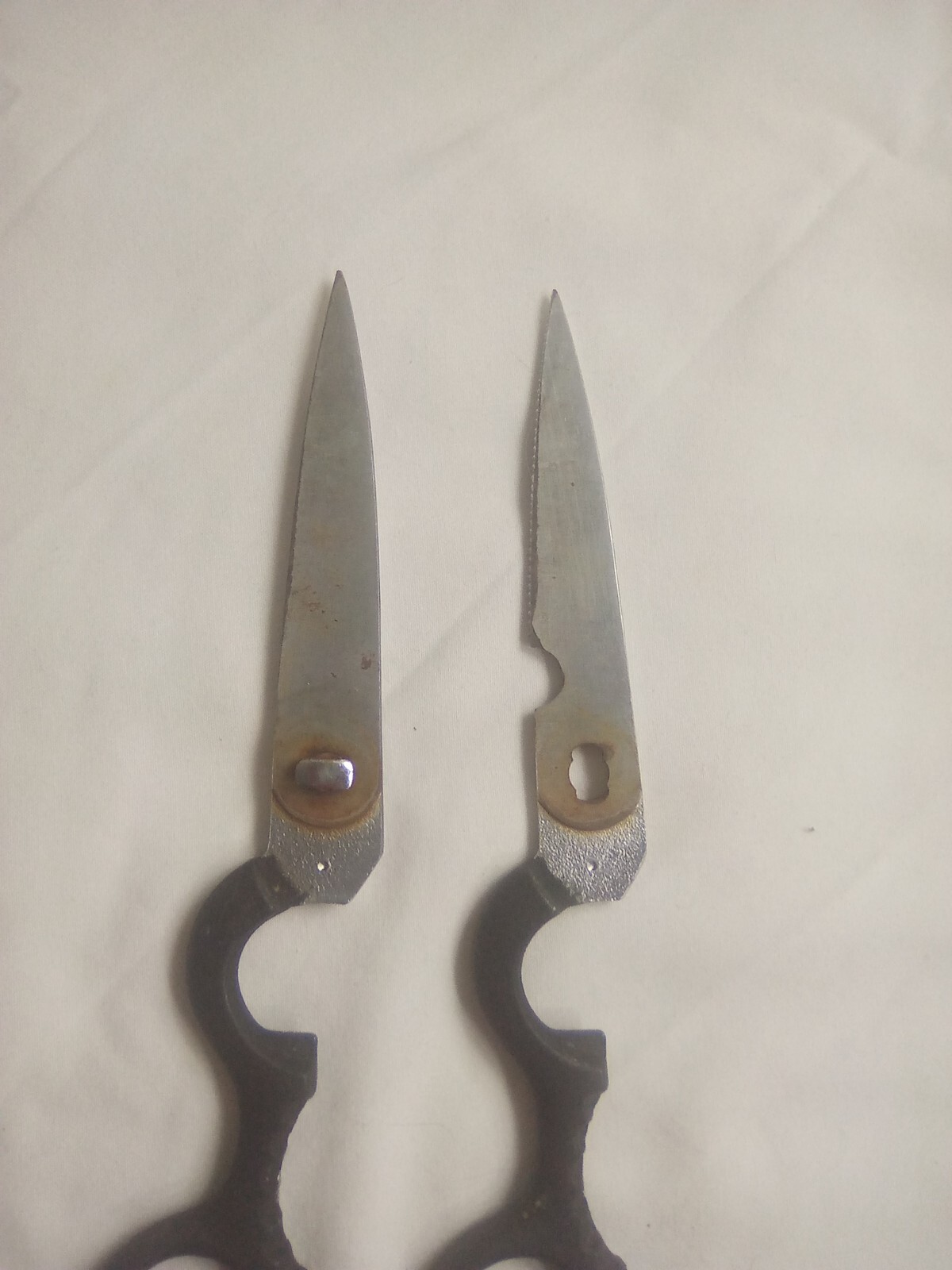 Gerber scissors 1416 kitchen shears