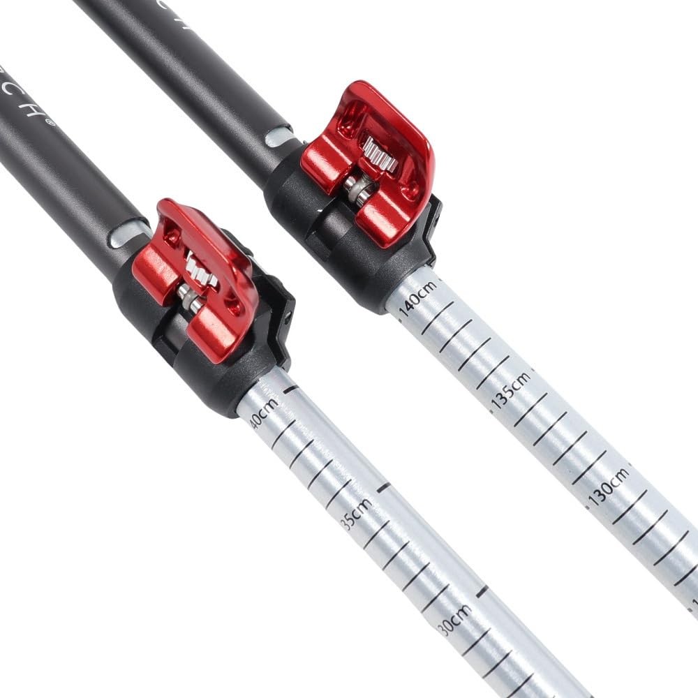 MSR DynaLock Explore 3-Section Aluminum Backcountry Poles