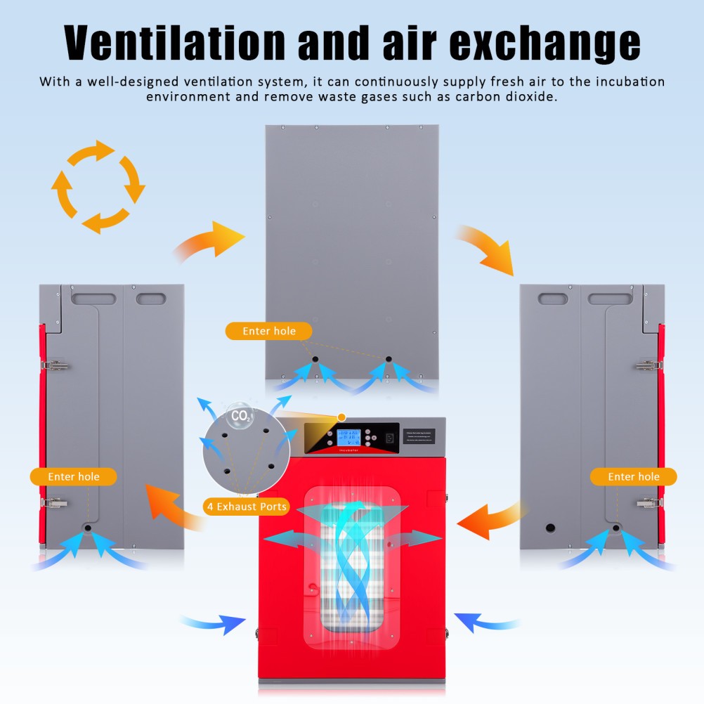 400 Egg Incubator Automatic Egg Turning & Temperature Control Digital Incubators