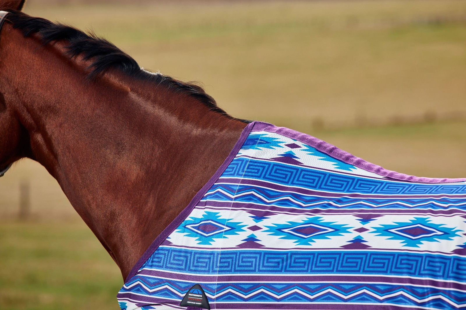 Weatherbeeta Essential Mesh Standard Neck Fly Sheet