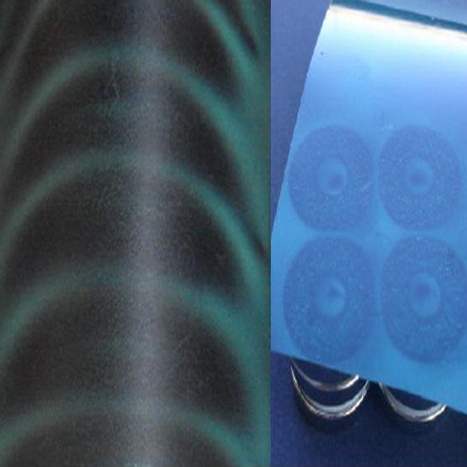 Applied Magnets® Magnetic Viewing Film - Magnetic Field Display Film 6" x 3"