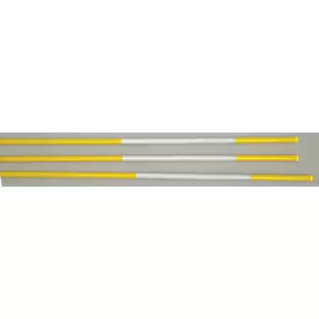 Zoro Select Dm650 Property Markers, 4 Ft, Pk12,  Dm650