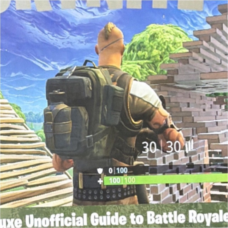 Fortnite Illustrated Deluxe Unofficial Strategy Guide Featuring Llama (2018)