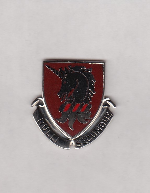 US ARMY MEDICAL 125th MEDICAL BATTALION crest DUI badge c/b NHM