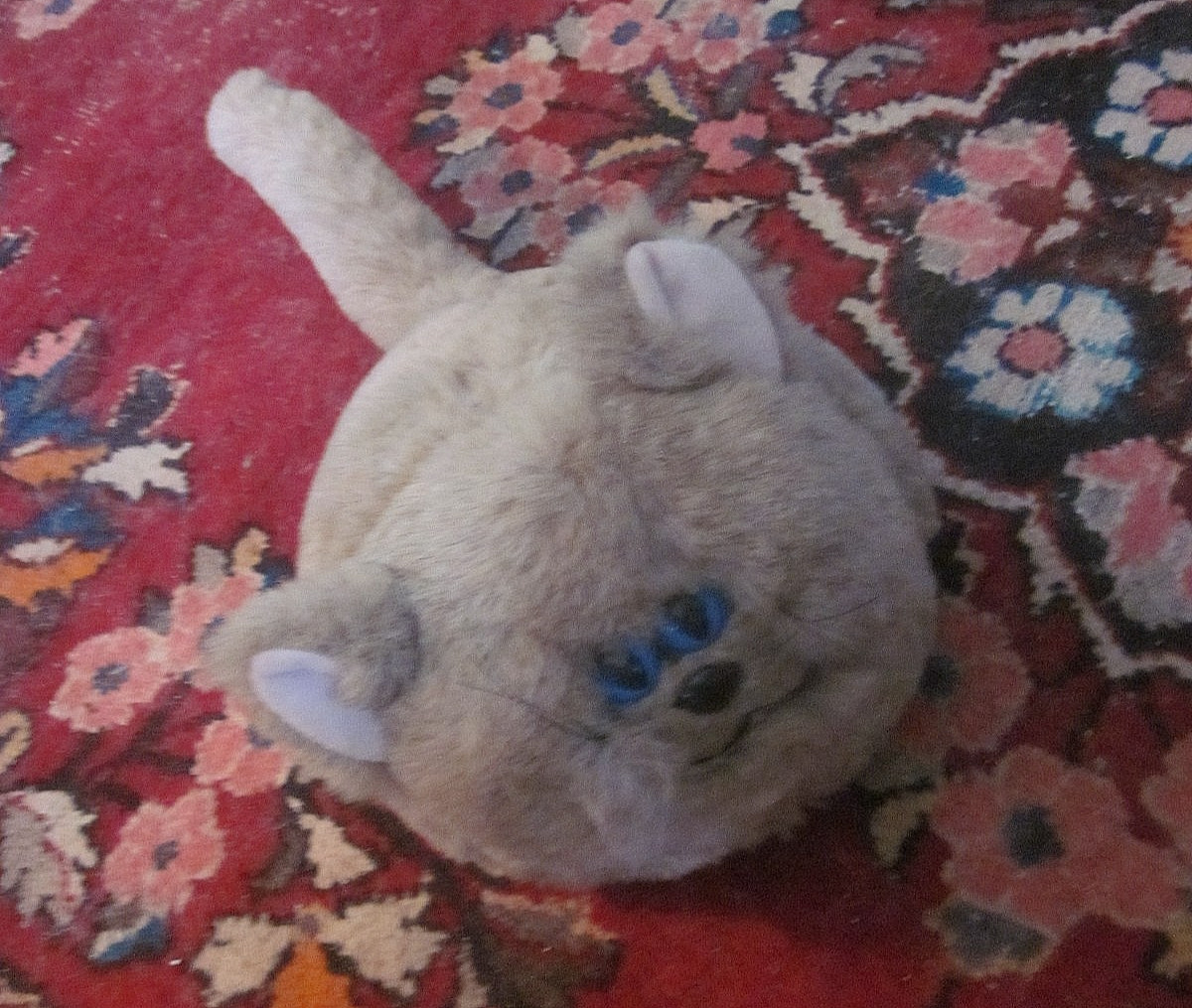 AXLON vintage 1985 Petster robot cat battery operated working