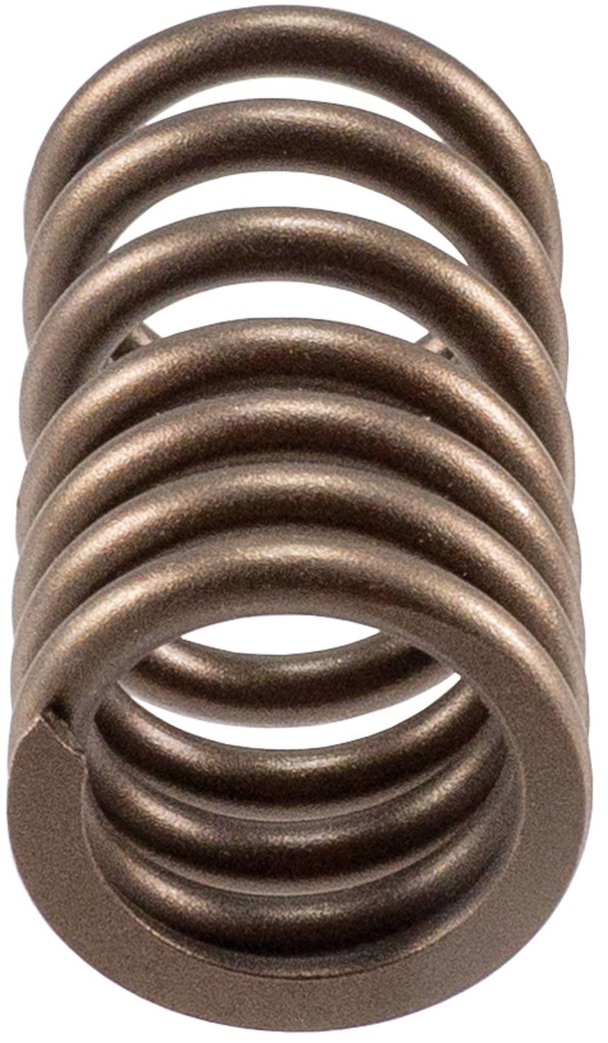Valve Spring Melling VS1116