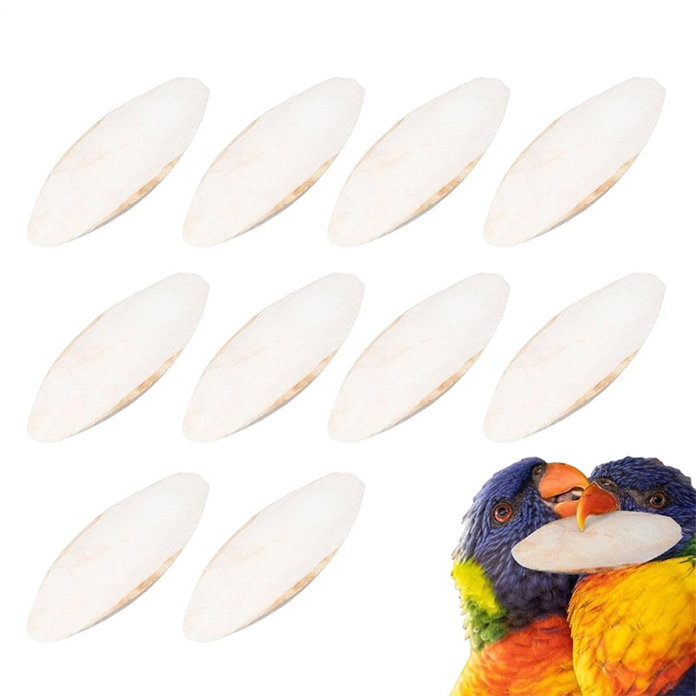 10PCS Cuttlebone Cuttlefish Bone Sepia Cuttle Fish Pet bird food Calcium Set