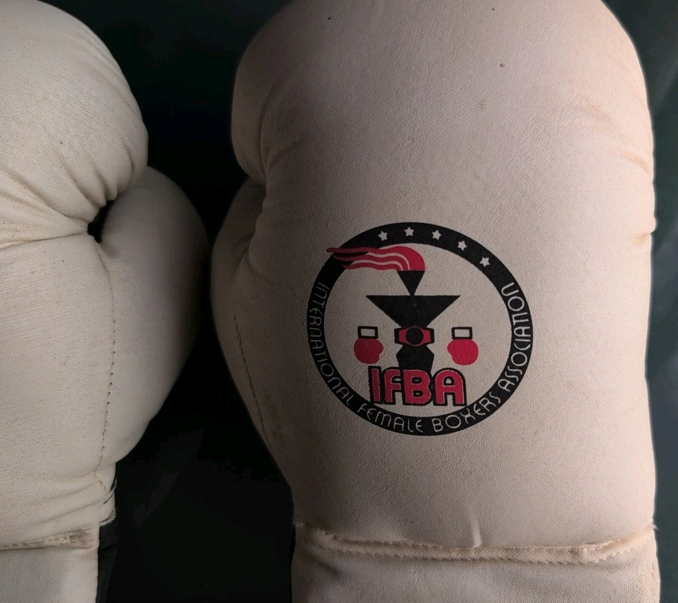 TKO-TECHINICAL KNOCKOUT- IFBA Edition - White BOXING GLOVES-12 OZ W/ Bag