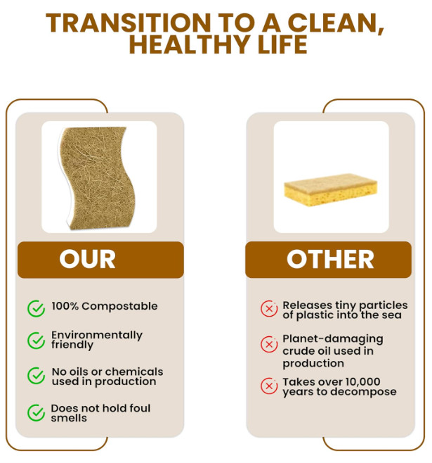 Eco Friendly Kitchen Sponges 12 Pack – Compostable Cellulose Coconut Scrubbers
