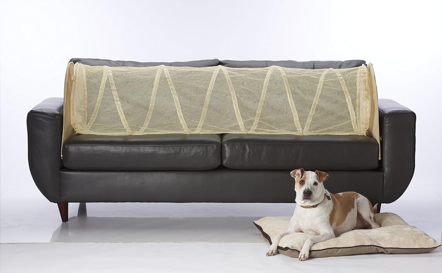 Keep Pets Off of Your Furniture Beige)