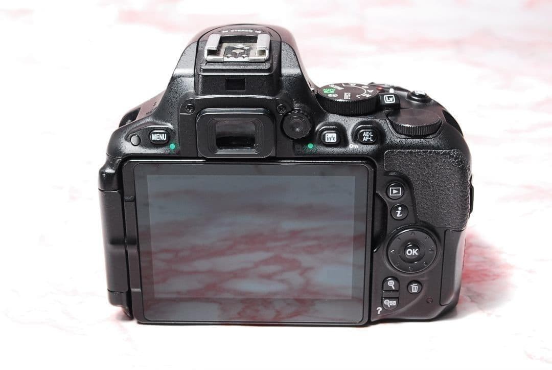 Nikon D5500 660502