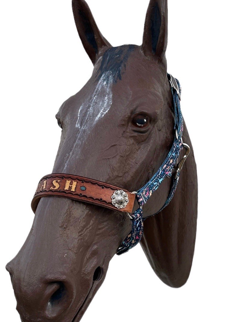 custom personalized nylon horse halter in all sizes in  Blue DINOSAURS