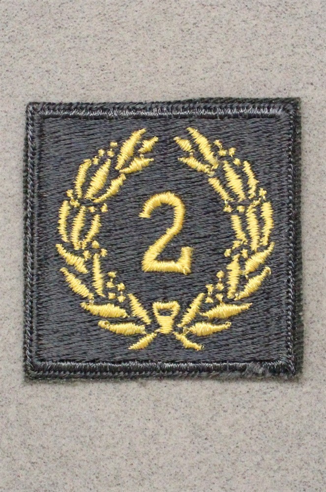 Cloth Army Badge 018: Meritorious Unit Award, 2nd Award - on AG