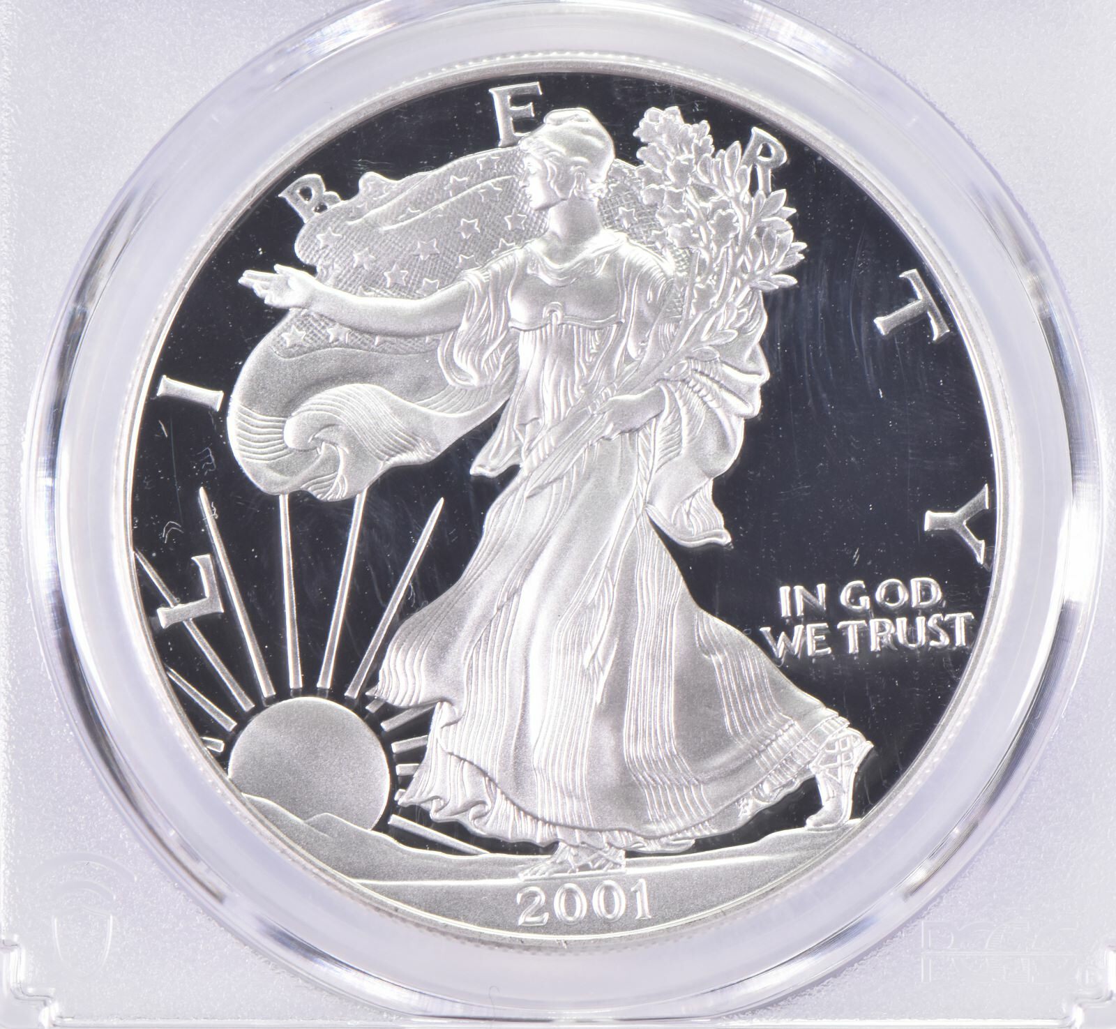 2001-W PR70 DCAM American Silver Eagle PCGS Blue Label