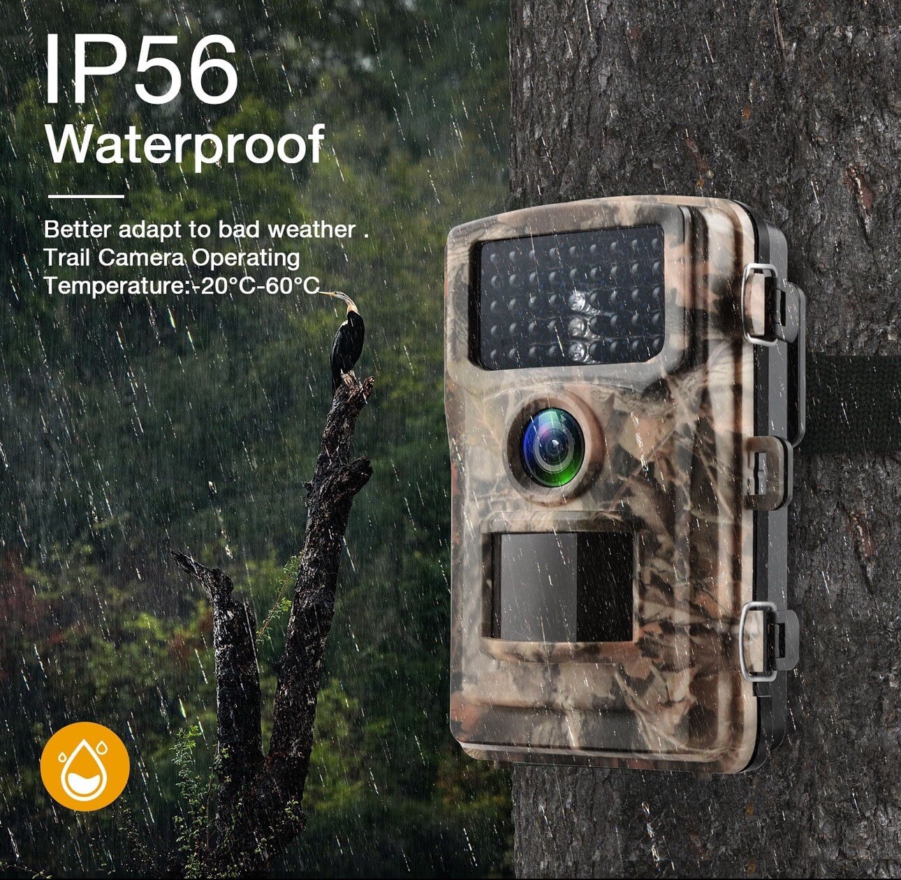 T40A FHD 4K & 42MPTrail Game Camera