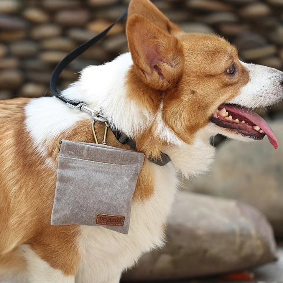 Dualpet Waterproof Pet Treat Bag Dirt-Resistant with Carabiner Travel Outdoor