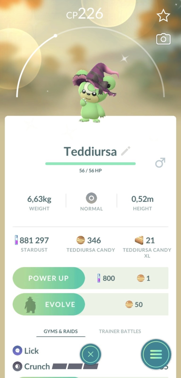 Pokémon🔄Trade🔄Go Shiny Teddiursa (Witch Hat) ✨