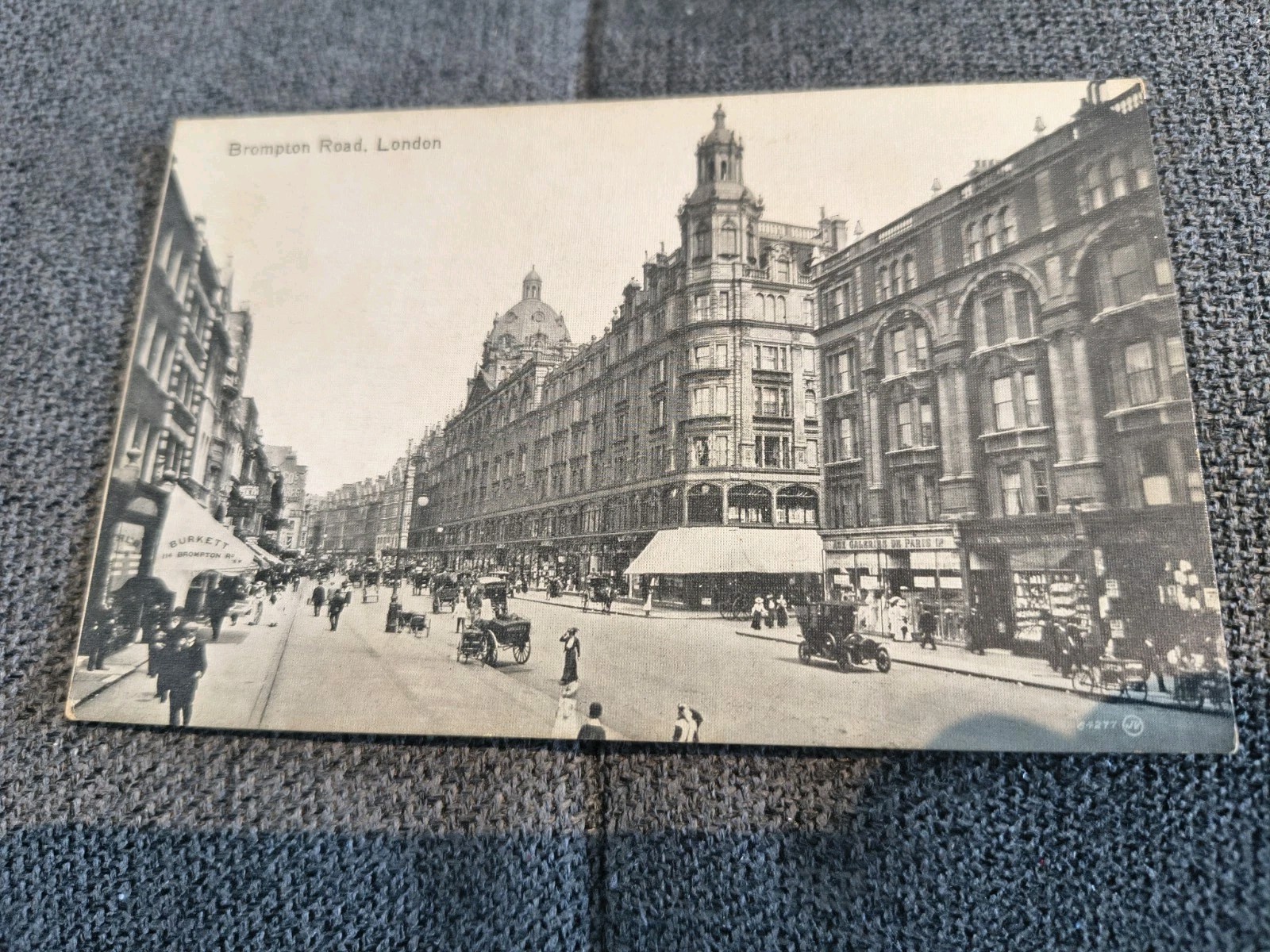 Natural History Museum London Postcard