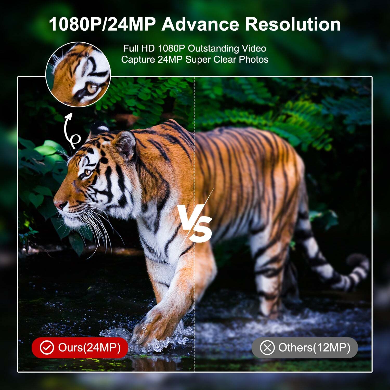 2Pack Mini Trail Camera 24MP 1080P Wildlife Scouting Hunting Cam Night Vision US
