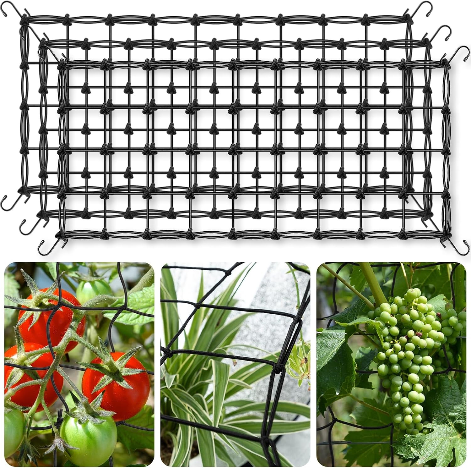 Grow Tent Trellis Netting 2X4 Ft, 3 Pack Heavy-Duty Elastic Plant Net |