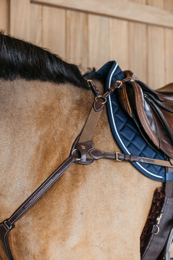 Dion Elastic Chest Harness (5-Point)