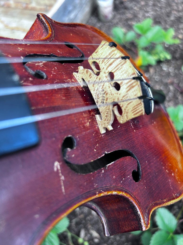 violin