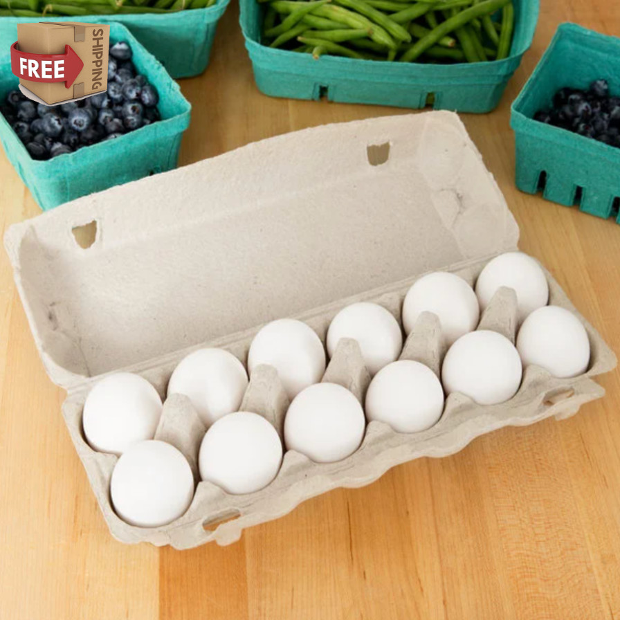240 Pack Bulk Wholesale 1 Dozen Extra Large Natural Pulp Beige Egg Cartons NEW