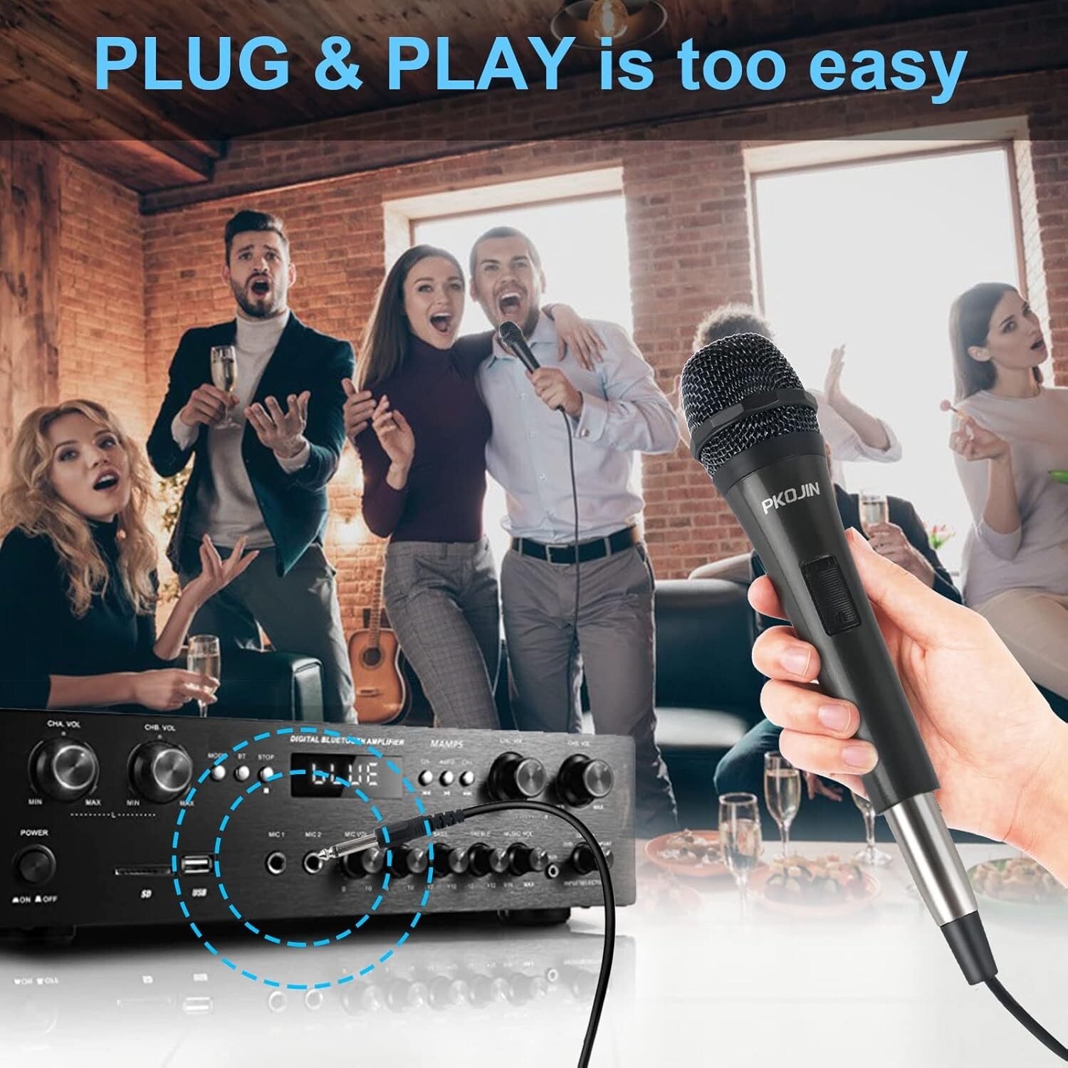 Unidirectional Wired Karaoke Microphone with On/Off Switch for Superior Singing