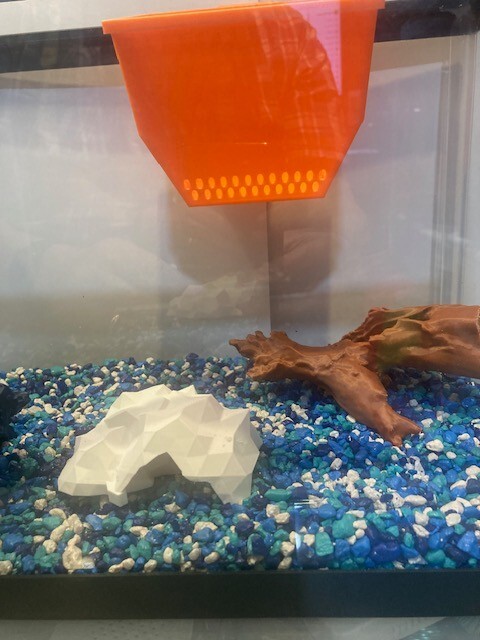Easy Aquarium Water Refill Tool: Gentle Diffuser for Gravel and Decorations